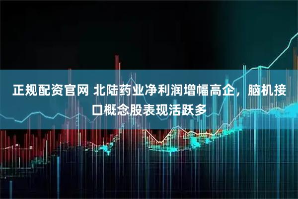 正规配资官网 北陆药业净利润增幅高企，脑机接口概念股表现活跃多